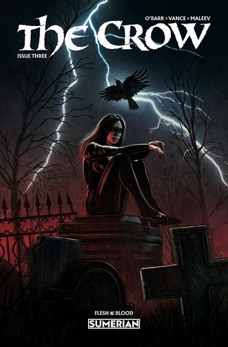 CROW FLESH AND BLOOD #3 (CVR A EDUARDO SCHAAL (MR)) - PREORDER
