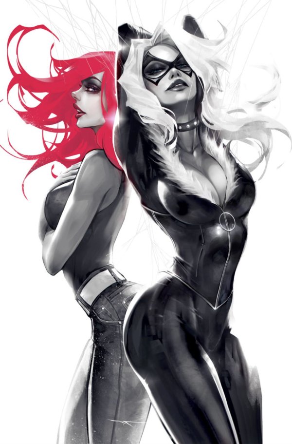 Mary Jane & Black Cat #1 (616 Comics / Antihero Gallery / Unknown Comics / Comic Traders / Street Level Hero Tao Virgin Variant)