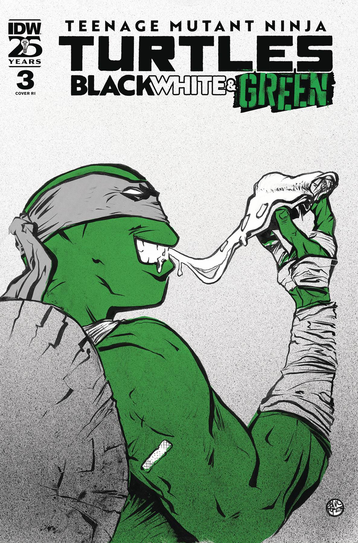 Teenage Mutant Ninja Turtles: Black, White, & Green #3 (CVR C 10 COPY POPE)
