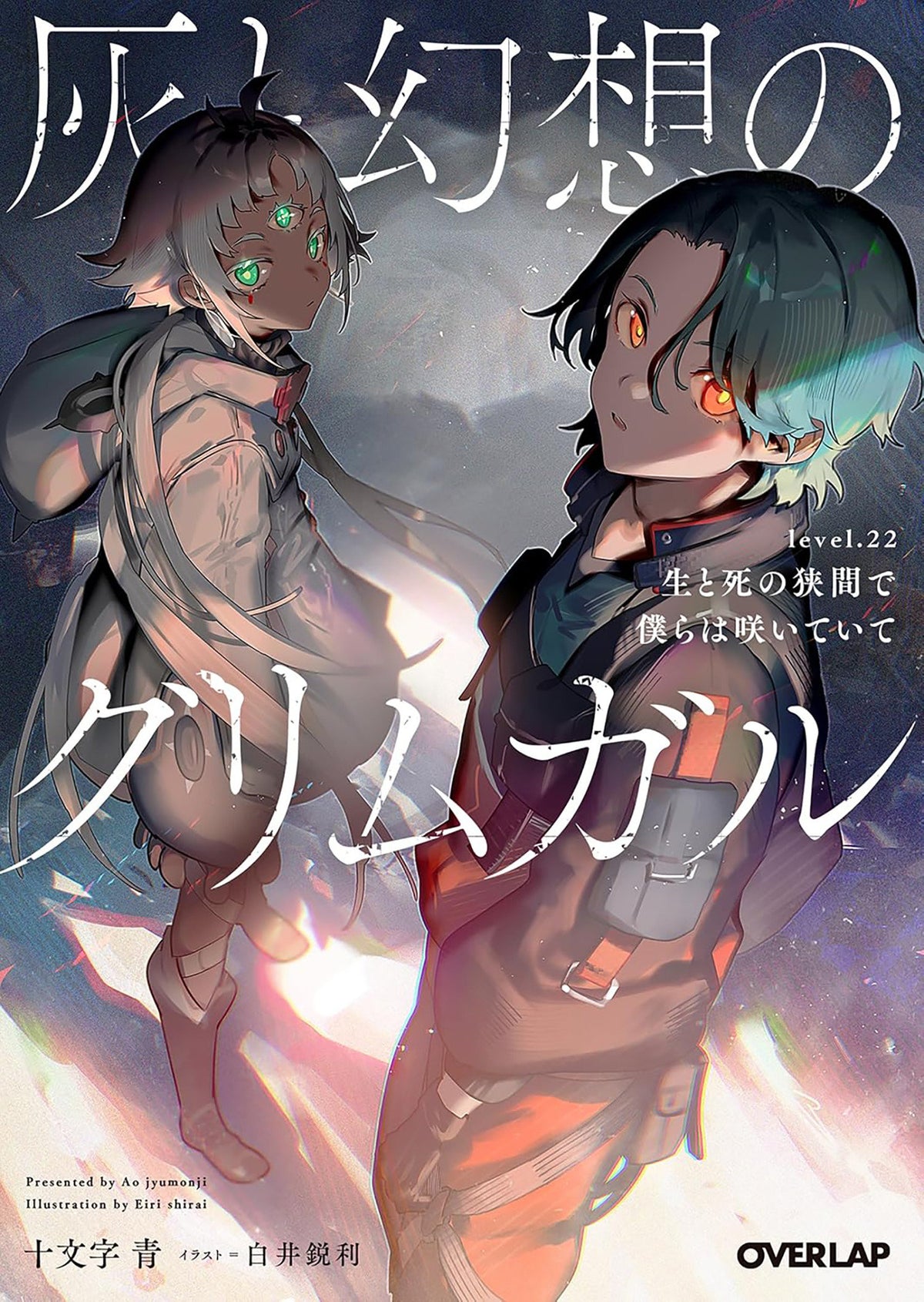 Grimgar of Fantasy and Ash (Light Novel) Vol. 22 (Light Novel) - PREORDER