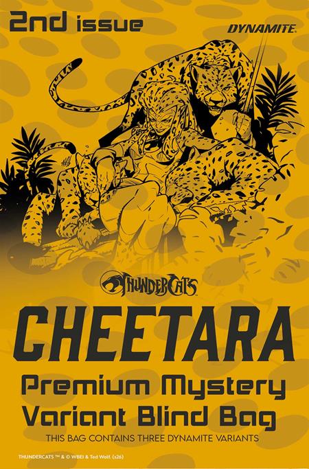 THUNDERCATS CHEETARA #2 (CVR H PREMIUM MYSTERY BLIND BAG VAR) - PREORDER