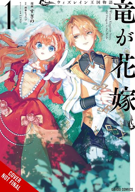 TALE OF THE WIZRAIN KINGDOM THE DRAGON IS THE BRIDE TP VOL 01 - PREORDER