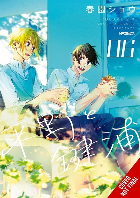 HIRANO AND KAGIURA TP VOL 06 - PREORDER