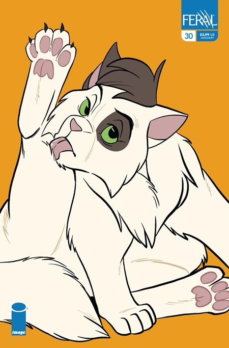 FERAL #30 (CVR C TRISH FORSTNER CHARACTER SPOTLIGHT VAR) - PREORDER