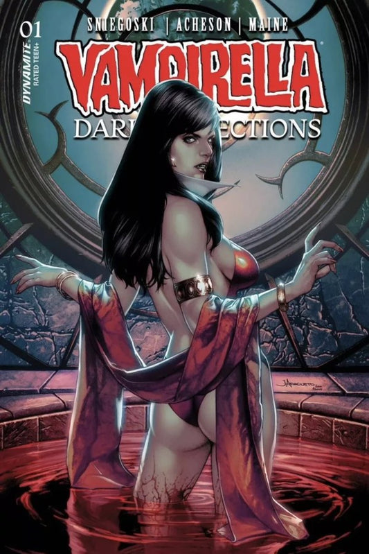 Vampirella: Dark Reflections #1 (Cover D Jay Anacleto Variant)