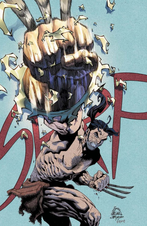 X Deaths of Wolverine #2 Unknown Comics / Comic Traders / Street Level Hero Ryan Stegman Virgin Variant cover