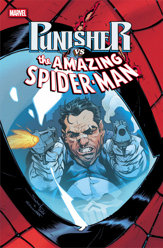 PUNISHER VS. SPIDER-MAN #5 - PREORDER