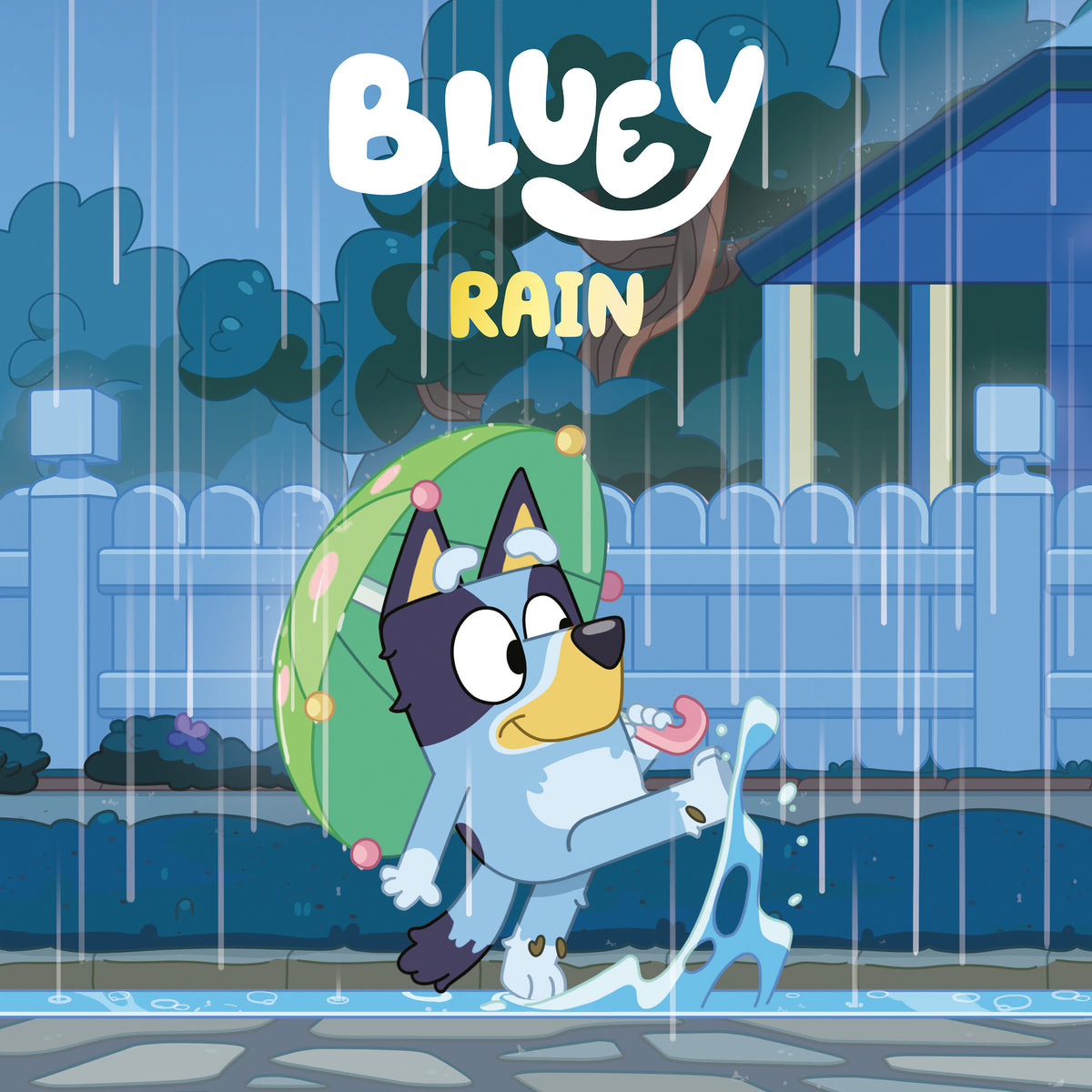 Bluey: Rain - PREORDER