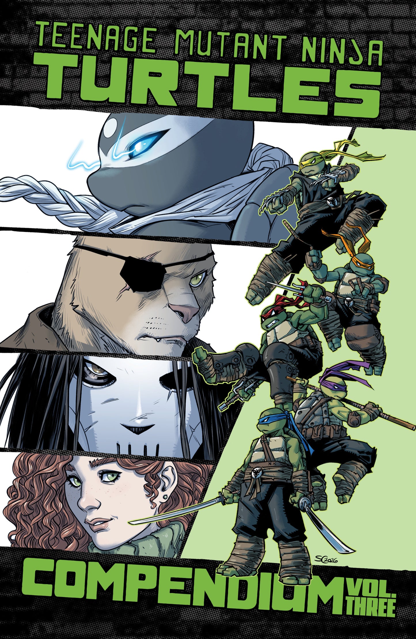 Teenage Mutant Ninja Turtles: Ongoing Compendium, Vol. 3 - PREORDER