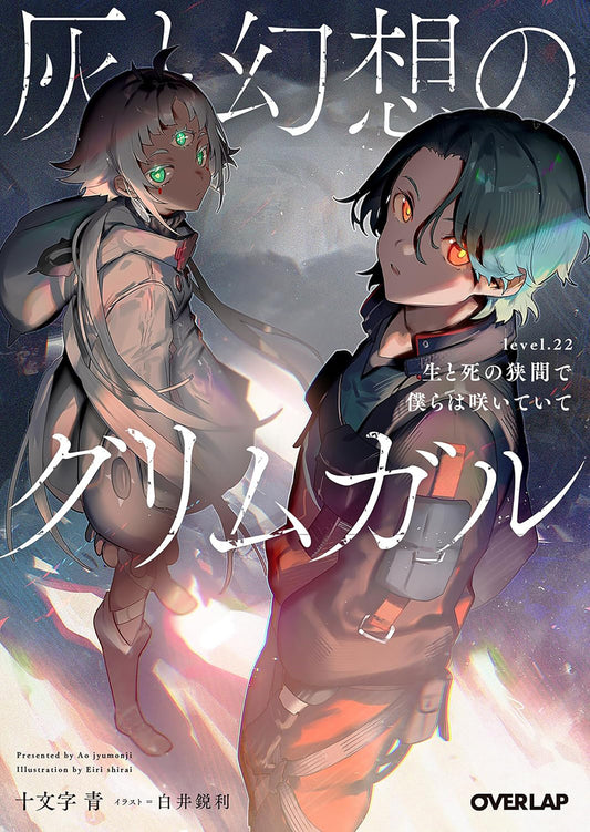 Grimgar of Fantasy and Ash (Light Novel) Vol. 22 (Light Novel) - PREORDER