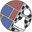 Panels and Pawns logo