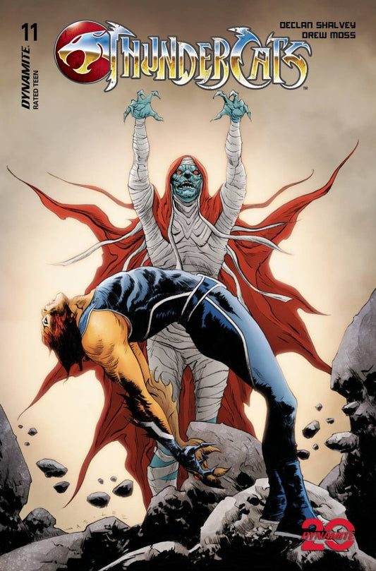 Thundercats #11 (Cover C Jae Lee Variant)