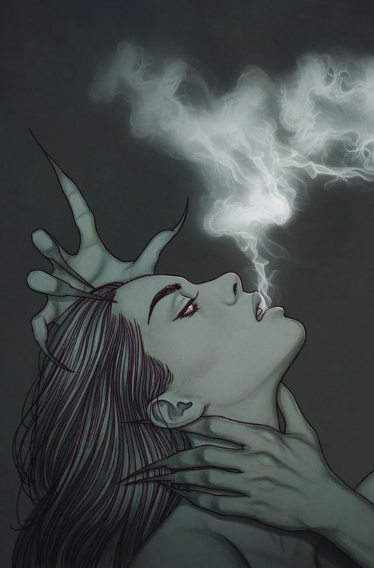 Hello Darkness #25 (LCSD 2026 Jenny Frison A Connecting Virgin Variant) - PREORDER